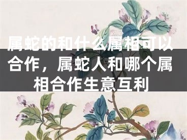 属蛇的和什么属相可以合作，属蛇人和哪个属相合作生意互利