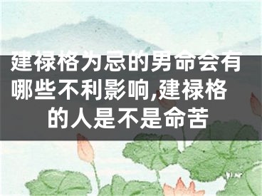 建禄格为忌的男命会有哪些不利影响,建禄格的人是不是命苦