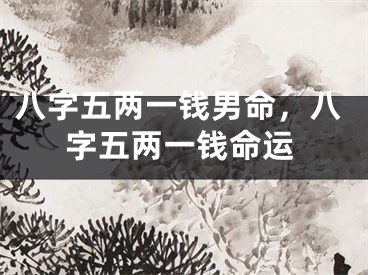 八字五两一钱男命，八字五两一钱命运