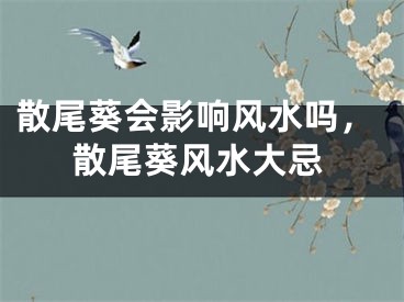 散尾葵会影响风水吗，散尾葵风水大忌
