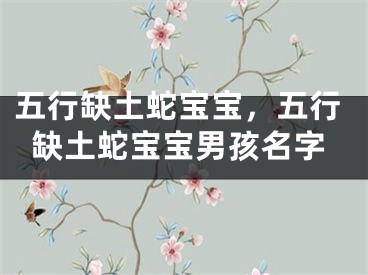 五行缺土蛇宝宝，五行缺土蛇宝宝男孩名字