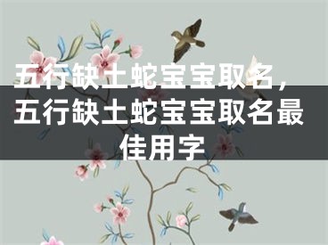 五行缺土蛇宝宝取名，五行缺土蛇宝宝取名最佳用字