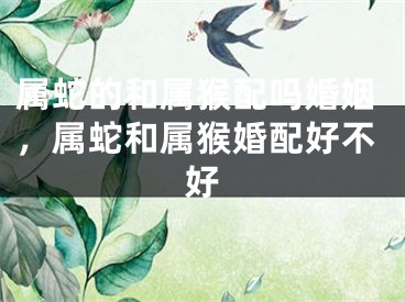 属蛇的和属猴配吗婚姻，属蛇和属猴婚配好不好