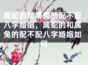 属蛇的和属兔的配不配八字婚姻，属蛇的和属兔的配不配八字婚姻如何