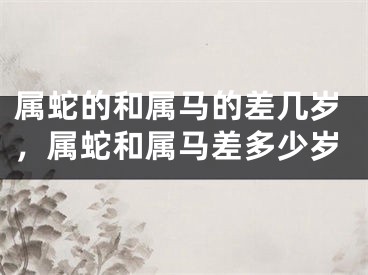 属蛇的和属马的差几岁，属蛇和属马差多少岁