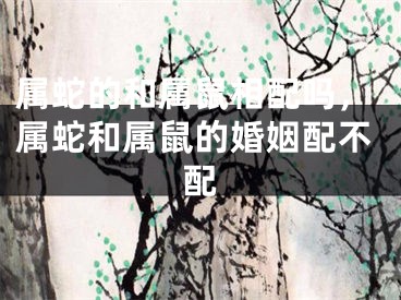 属蛇的和属鼠相配吗，属蛇和属鼠的婚姻配不配