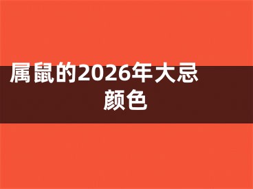 属鼠的2026年大忌颜色