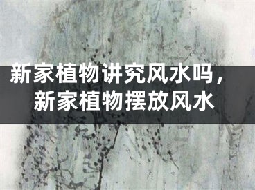 新家植物讲究风水吗,新家植物摆放风水