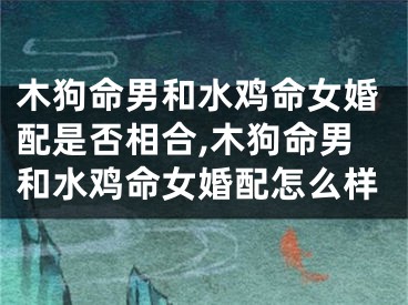 木狗命男和水鸡命女婚配是否相合,木狗命男和水鸡命女婚配怎么样