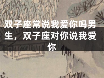 双子座常说我爱你吗男生，双子座对你说我爱你