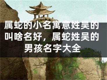 属蛇的小名寓意姓吴的叫啥名好，属蛇姓吴的男孩名字大全