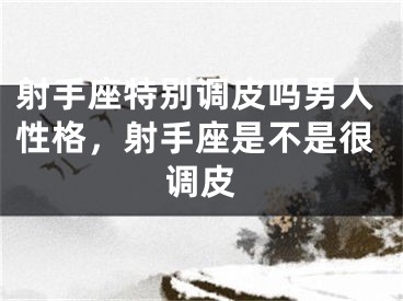 射手座特别调皮吗男人性格，射手座是不是很调皮