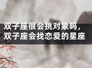 双子座很会挑对象吗，双子座会找恋爱的星座