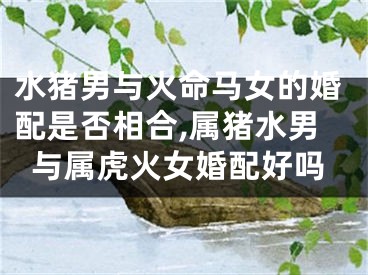 水猪男与火命马女的婚配是否相合,属猪水男与属虎火女婚配好吗