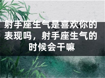 射手座生气是喜欢你的表现吗，射手座生气的时候会干嘛