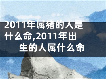 2011年属猪的人是什么命,2011年出生的人属什么命