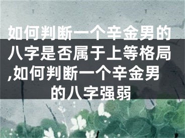 如何判断一个辛金男的八字是否属于上等格局,如何判断一个辛金男的八字强弱