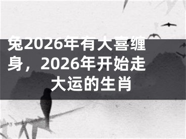 兔2026年有大喜缠身，2026年开始走大运的生肖