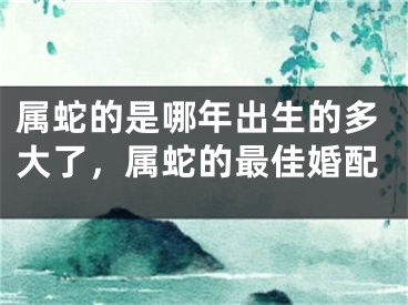 属蛇的是哪年出生的多大了，属蛇的最佳婚配