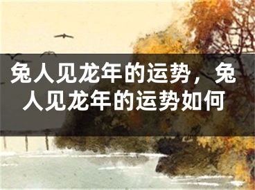 兔人见龙年的运势，兔人见龙年的运势如何