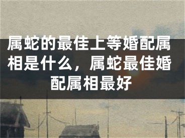 属蛇的最佳上等婚配属相是什么，属蛇最佳婚配属相最好