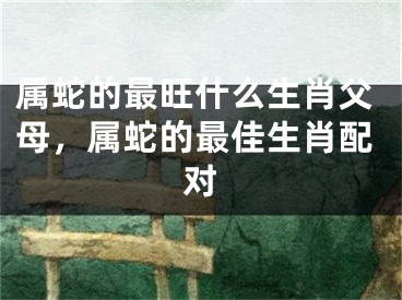 属蛇的最旺什么生肖父母，属蛇的最佳生肖配对