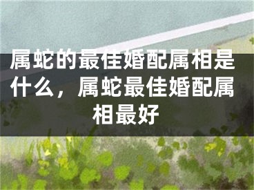 属蛇的最佳婚配属相是什么，属蛇最佳婚配属相最好