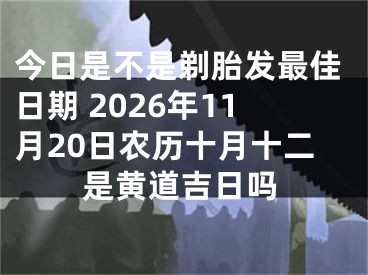 今日是不是剃胎发最佳日期 2026年11月20日农历十月十二是黄道吉日吗