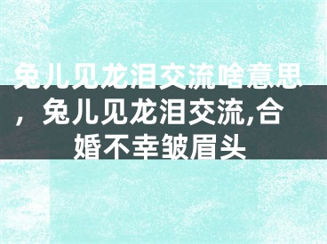 兔儿见龙泪交流啥意思，兔儿见龙泪交流,合婚不幸皱眉头