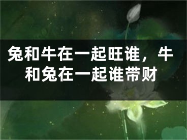 兔和牛在一起旺谁,牛和兔在一起谁带财