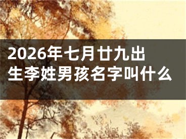 2026年七月廿九出生李姓男孩名字叫什么