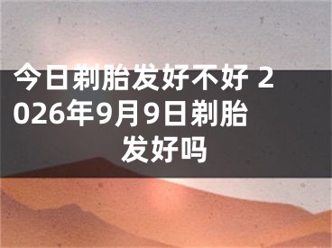 今日剃胎发好不好 2026年9月9日剃胎发好吗