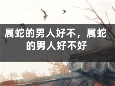 属蛇的男人好不，属蛇的男人好不好