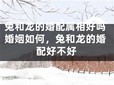 兔和龙的婚配属相好吗婚姻如何，兔和龙的婚配好不好