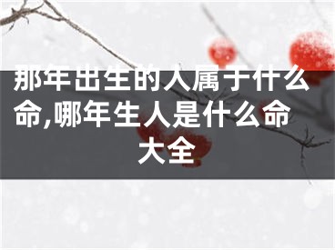 那年出生的人属于什么命,哪年生人是什么命大全