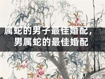 属蛇的男子最佳婚配,男属蛇的最佳婚配