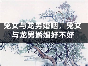 兔女与龙男婚姻，兔女与龙男婚姻好不好