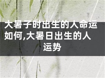 大暑子时出生的人命运如何,大暑日出生的人运势