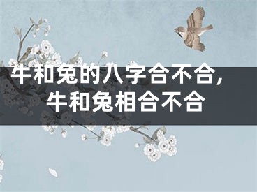 牛和兔的八字合不合,牛和兔相合不合