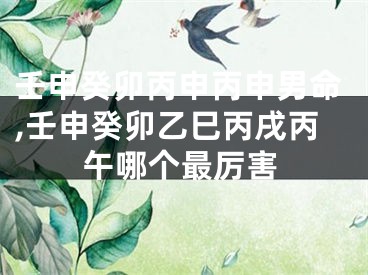 壬申癸卯丙申丙申男命,壬申癸卯乙巳丙戌丙午哪个最厉害