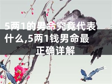 5两1的男命究竟代表什么,5两1钱男命最正确详解