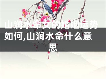 山涧水命女的婚姻运势如何,山涧水命什么意思