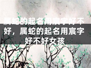属蛇的起名用宸字好不好，属蛇的起名用宸字好不好女孩