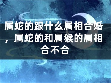 属蛇的跟什么属相合婚，属蛇的和属猴的属相合不合