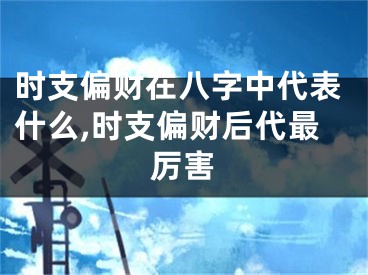时支偏财在八字中代表什么,时支偏财后代最厉害