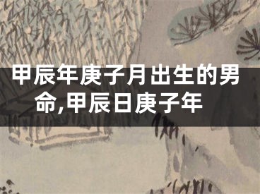 甲辰年庚子月出生的男命,甲辰日庚子年