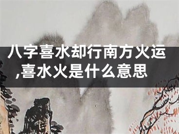 八字喜水却行南方火运,喜水火是什么意思