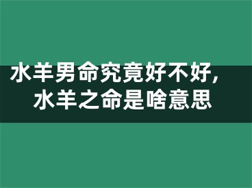 水羊男命究竟好不好,水羊之命是啥意思