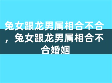 兔女跟龙男属相合不合，兔女跟龙男属相合不合婚姻