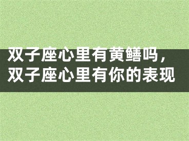 双子座心里有黄鳝吗，双子座心里有你的表现